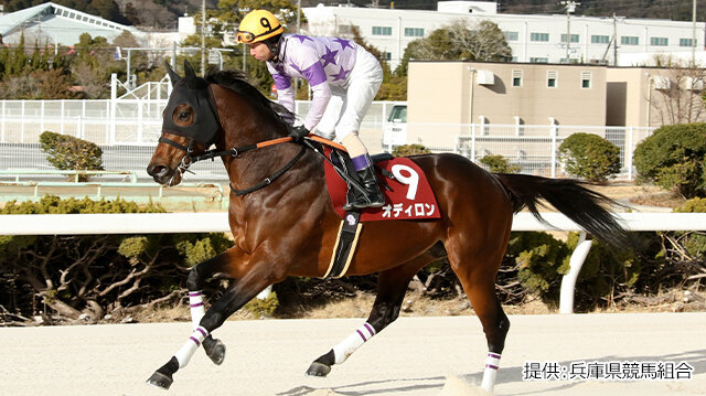 グリーンチャンネル地方競馬中継