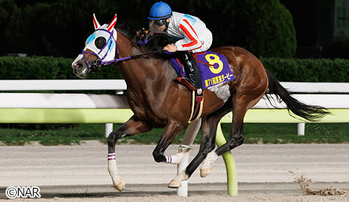 グリーンチャンネル地方競馬中継