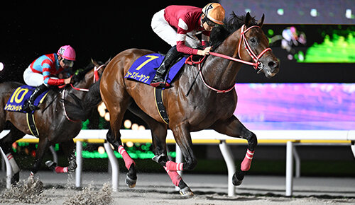 グリーンチャンネル地方競馬中継