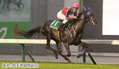 グリーンチャンネル地方競馬中継