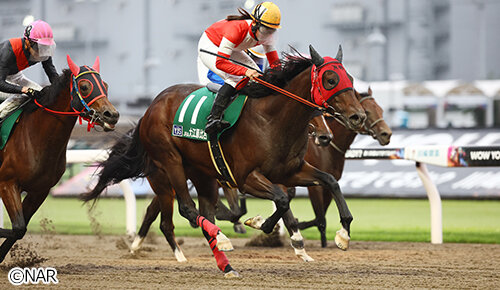 グリーンチャンネル地方競馬中継