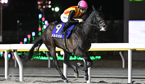 グリーンチャンネル地方競馬中継