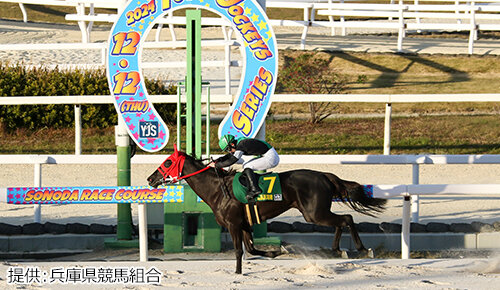 グリーンチャンネル地方競馬中継