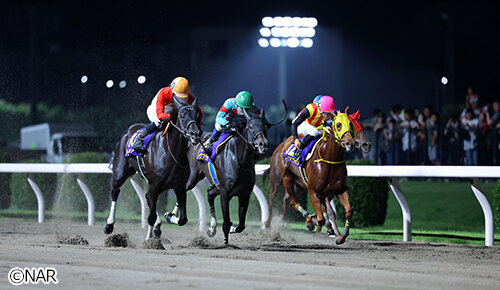 グリーンチャンネル地方競馬中継