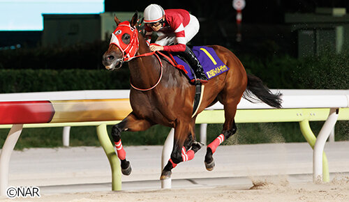 グリーンチャンネル地方競馬中継