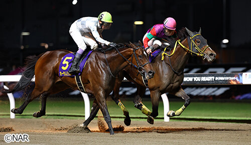 グリーンチャンネル地方競馬中継