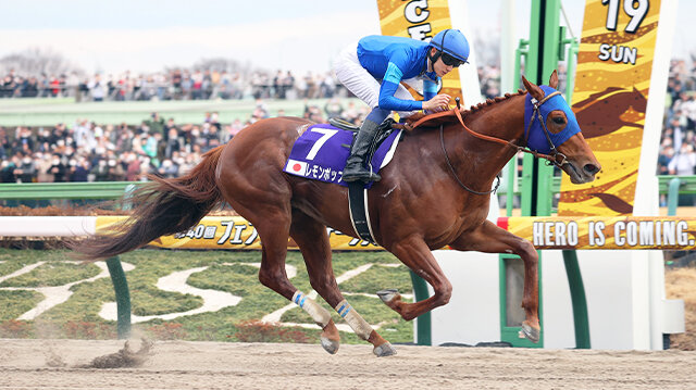 栄光の名馬たち