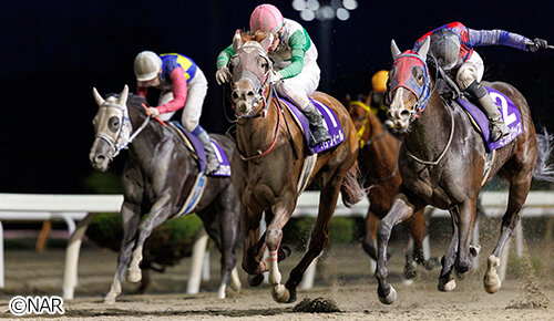 グリーンチャンネル地方競馬中継