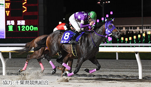 グリーンチャンネル地方競馬中継
