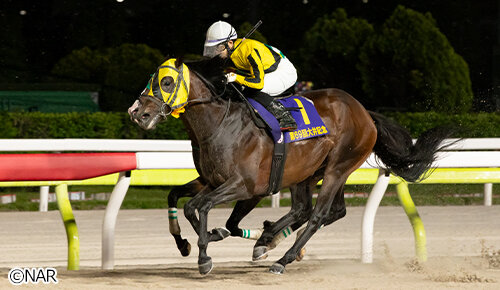 グリーンチャンネル地方競馬中継