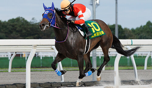 グリーンチャンネル地方競馬中継