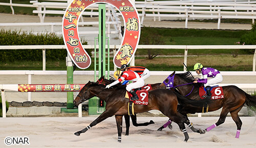 グリーンチャンネル地方競馬中継
