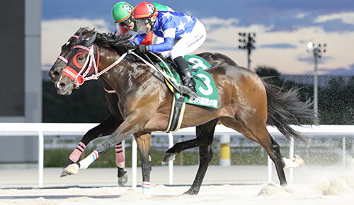 グリーンチャンネル地方競馬中継