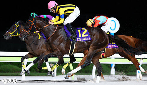 グリーンチャンネル地方競馬中継