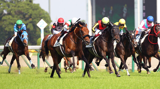 栄光の名馬たち