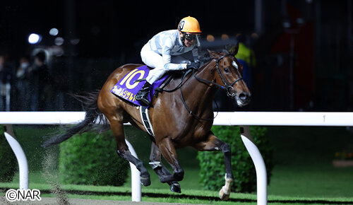 グリーンチャンネル地方競馬中継