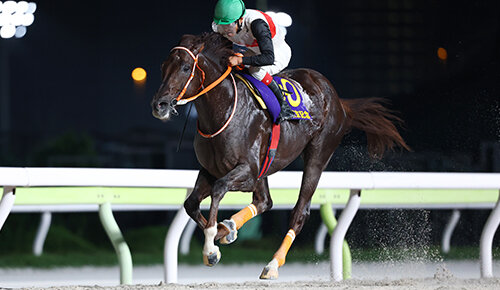 グリーンチャンネル地方競馬中継