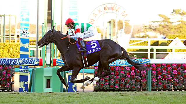 栄光の名馬たち