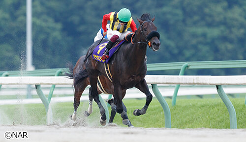グリーンチャンネル地方競馬中継