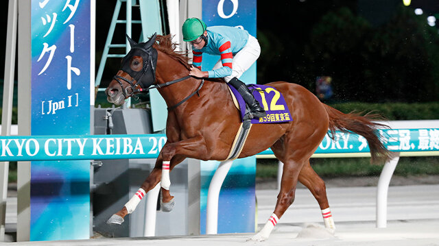 グリーンチャンネル地方競馬中継