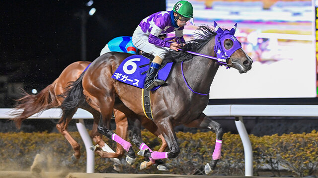 グリーンチャンネル地方競馬中継