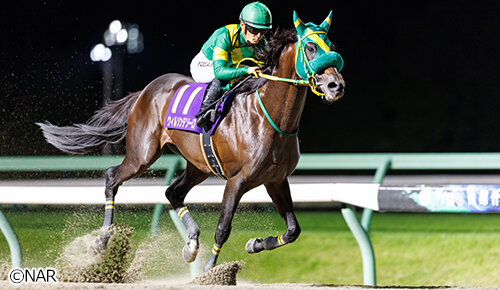 グリーンチャンネル地方競馬中継