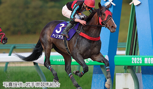グリーンチャンネル地方競馬中継
