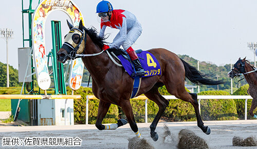 グリーンチャンネル地方競馬中継