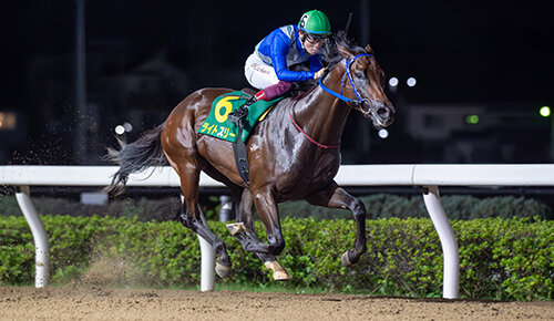 グリーンチャンネル地方競馬中継