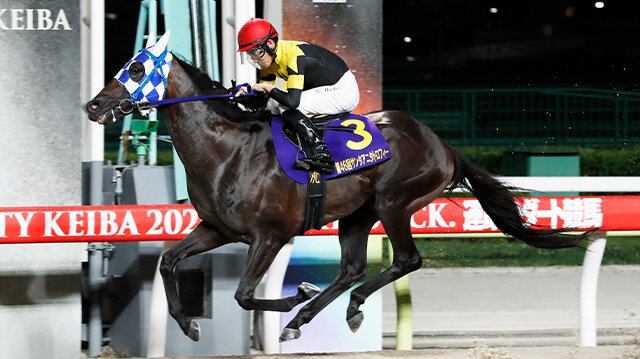 グリーンチャンネル地方競馬中継