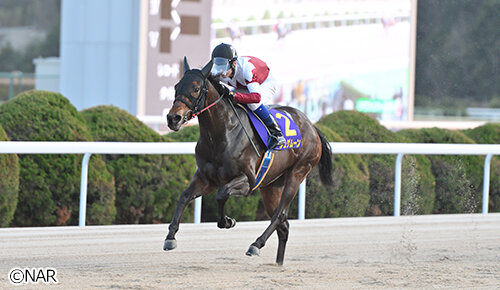 グリーンチャンネル地方競馬中継