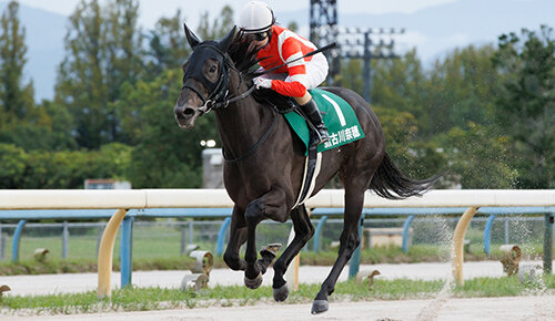グリーンチャンネル地方競馬中継