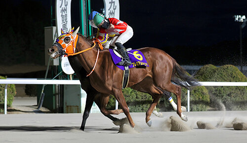 グリーンチャンネル地方競馬中継