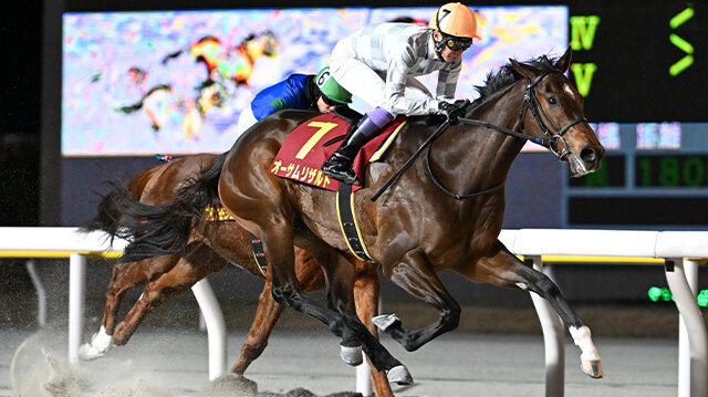 グリーンチャンネル地方競馬中継