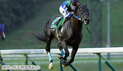 グリーンチャンネル地方競馬中継