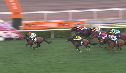 2026香港チャンピオンズデー参考レース＆調教VTR