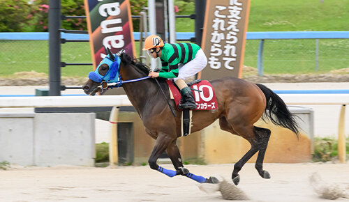 グリーンチャンネル地方競馬中継
