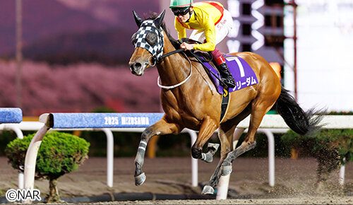 グリーンチャンネル地方競馬中継