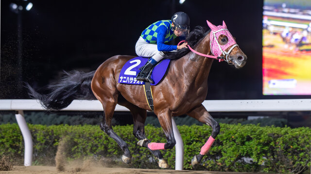 グリーンチャンネル地方競馬中継