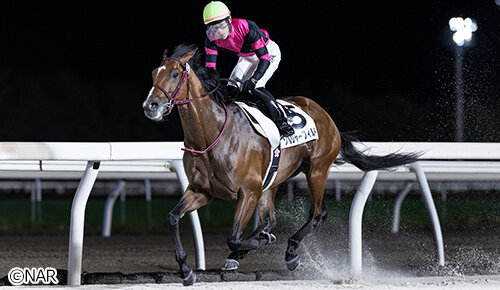 グリーンチャンネル地方競馬中継