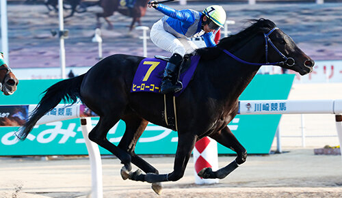グリーンチャンネル地方競馬中継