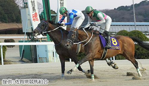 グリーンチャンネル地方競馬中継