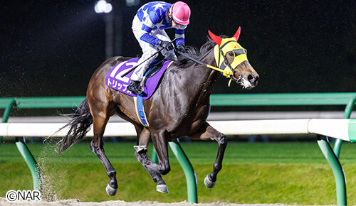 グリーンチャンネル地方競馬中継