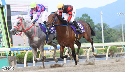 グリーンチャンネル地方競馬中継