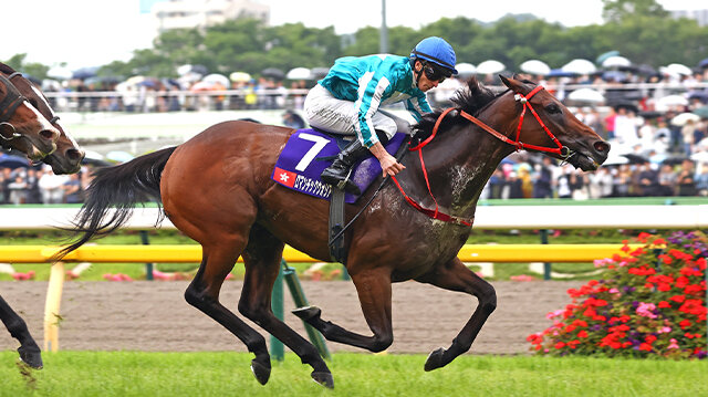 中央競馬全レース中継