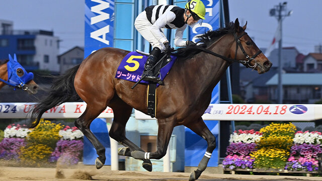 グリーンチャンネル地方競馬中継