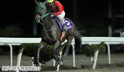 グリーンチャンネル地方競馬中継