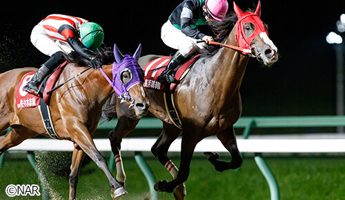 グリーンチャンネル地方競馬中継