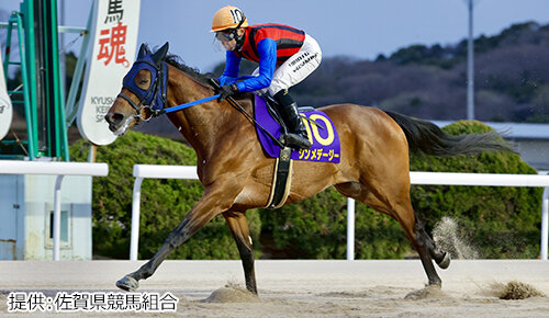 グリーンチャンネル地方競馬中継
