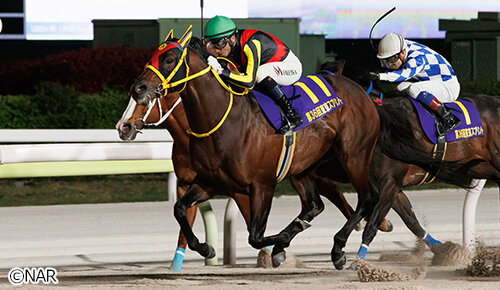 グリーンチャンネル地方競馬中継